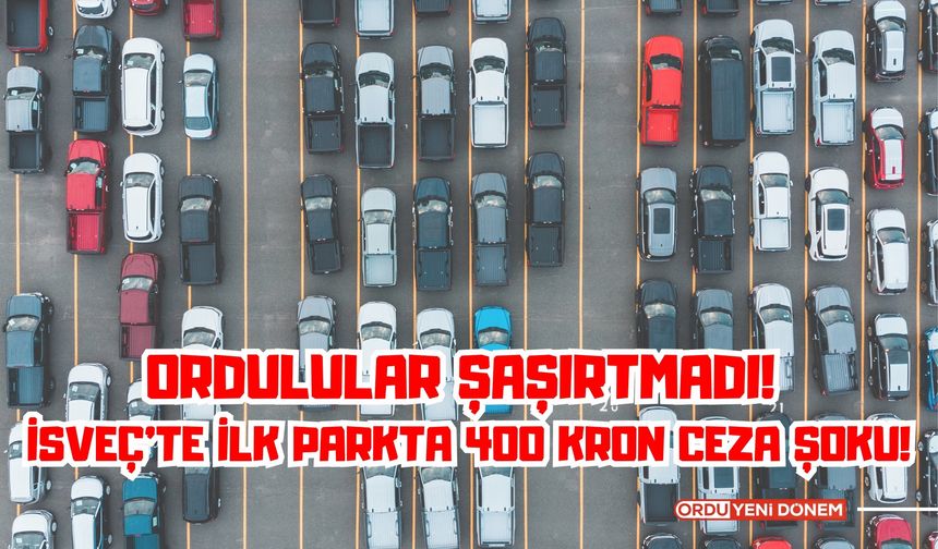 Ordulular Şaşırtmadı! İsveç’te İlk Parkta 400 Kron Ceza Şoku!