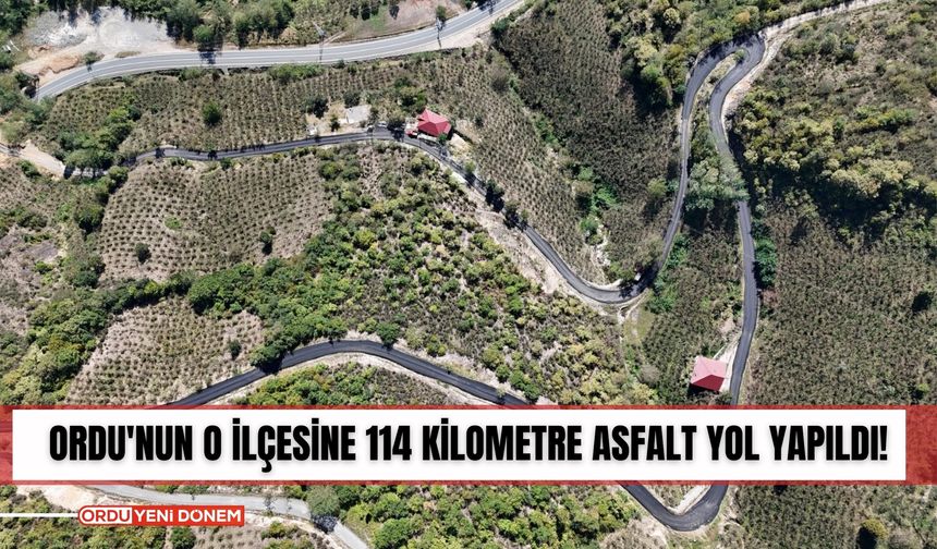 Ordu'nun o ilçesine 114 kilometre asfalt yol yapıldı!