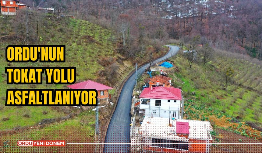 Ordu'nun Tokat Yolu Asfaltlanıyor