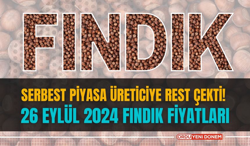 Serbest piyasa üreticiye rest çekti! 26 Eylül 2024 fındık fiyatları