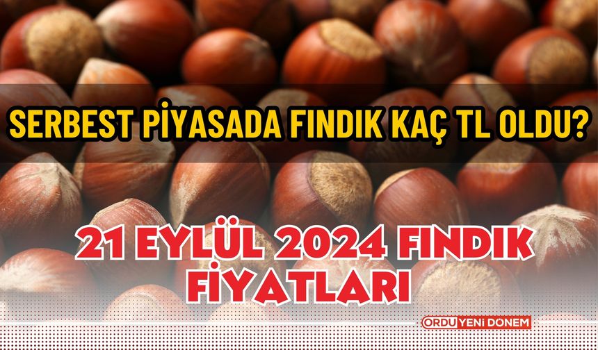 Serbest Piyasada Fındık Kaç TL Oldu? 21 Eylül 2024 Fındık Fiyatları