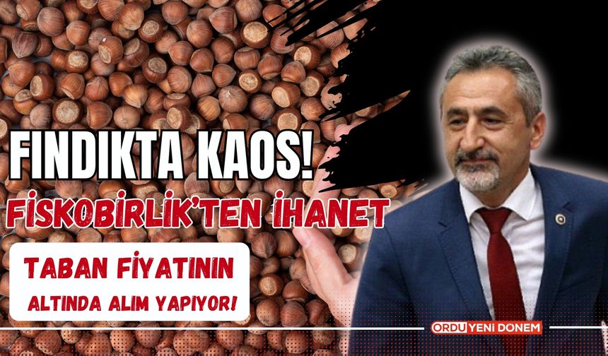 Fındıkta Kaos! Fiskobirlik’ten İhanet: Taban Fiyatının Altında Alım Yapıyor!