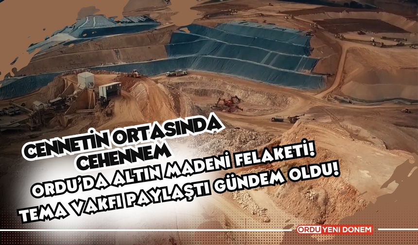 Cennetin Ortasında Cehennem: Ordu’da Altın Madeni Felaketi! TEMA Vakfı Paylaştı Gündem Oldu!