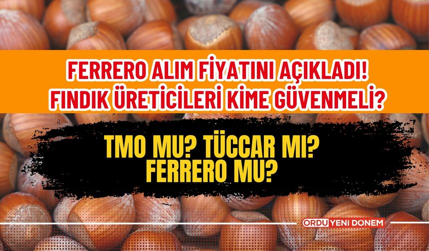 Ferrero Alım Fiyatını Açıkladı! Fındık Üreticileri Kime Güvenmeli? TMO mu? Tüccar mı? Ferrero mu?