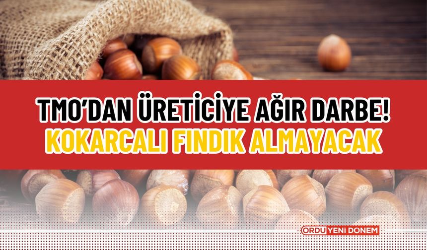 TMO’dan Üreticiye Ağır Darbe! Kokarcalı Fındık Almayacak