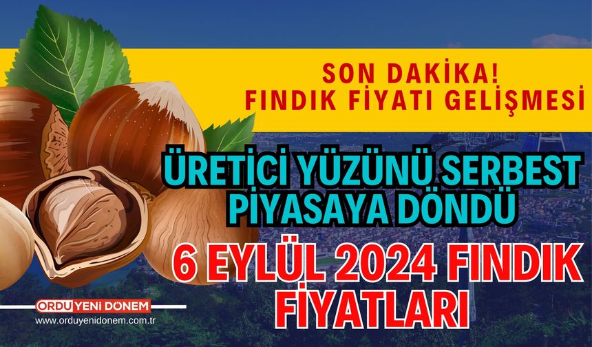 Üretici yüzünü serbest piyasaya döndü! 6 Eylül 2024 Fındık Fiyatları