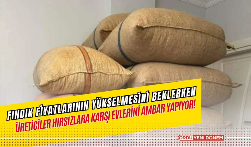 Fındık Fiyatları Yükselmesini Beklerken, Üreticiler Hırsızlara Karşı Evlerini Ambar Yapıyor!