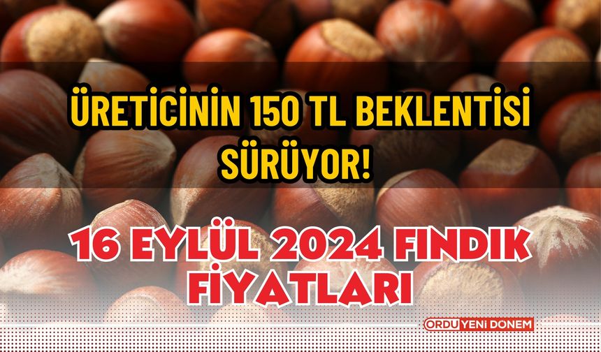 Üreticinin 150 TL beklentisi sürüyor! 16 Eylül 2024 fındık fiyatları