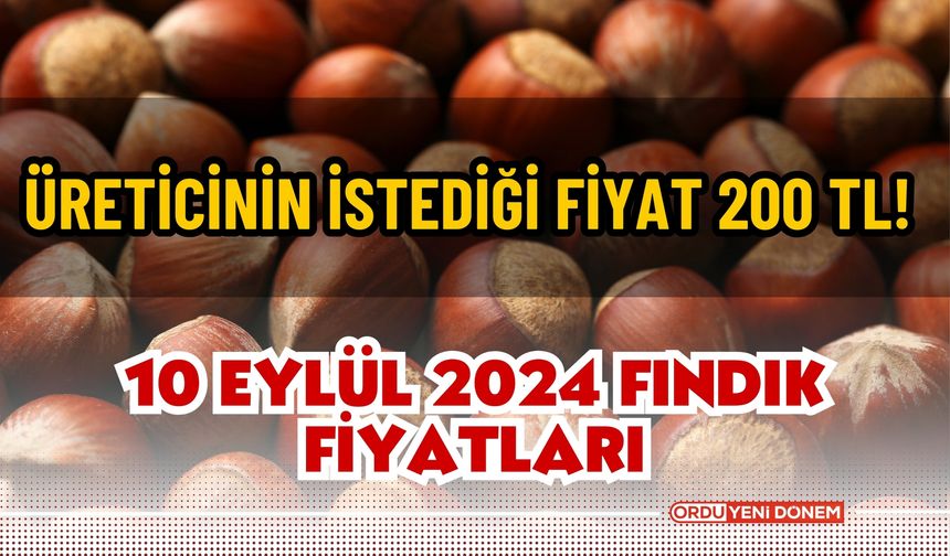 Üreticinin istediği fiyat 200 TL! 10 Eylül 2024 fındık fiyatları