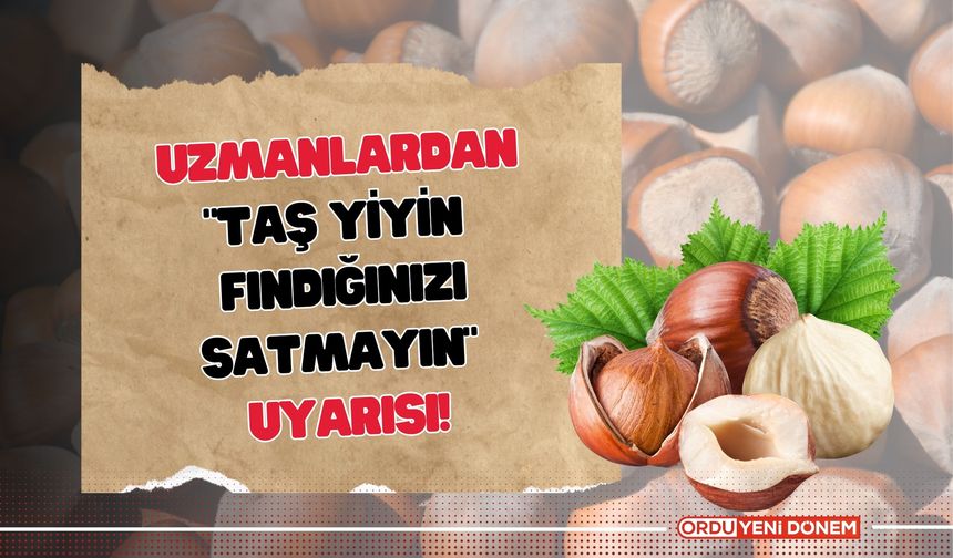 Uzmanlardan “Taş Yiyin, Fındığınızı Satmayın” Uyarısı!