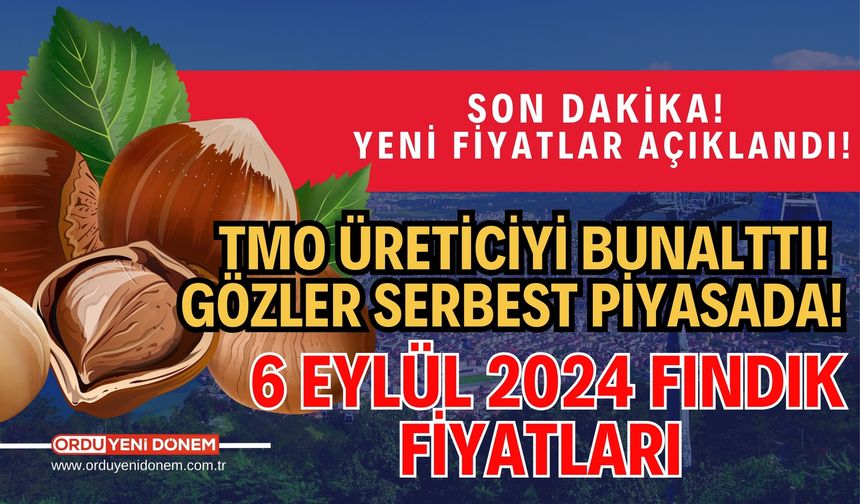 Yeni Fiyatlar Açıklandı! TMO Üreticiyi Bunalttı! Gözler Serbest Piyasada! 6 Eylül 2024 Fındık Fiyatları