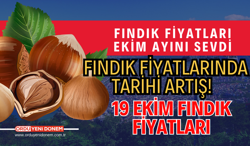 Fındık Fiyatlarında Tarihi Artış! 19 Ekim Fındık Fiyatları