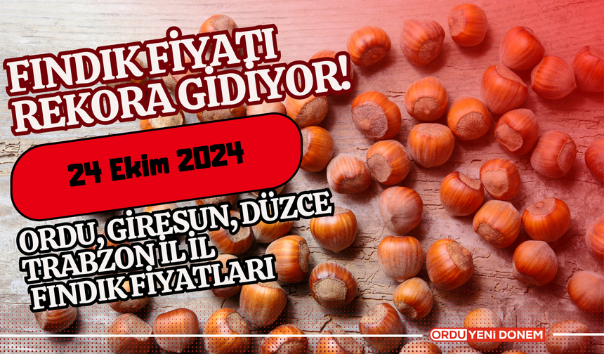 Fındık Fiyatı Rekora Gidiyor! Ordu, Giresun, Düzce, Trabzon İl İl Fındık Fiyatları 24 Ekim 2024