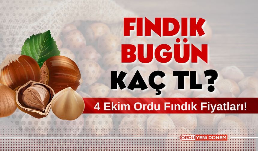 Fındık Bugün Kaç Lira? 4 Ekim Ordu Fındık Fiyatları!