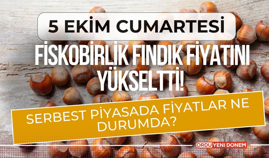 Fiskobirlik Fındık Fiyatını Yükseltti! Serbest Piyasada Fiyatlar Ne Durumda? 5 Ekim Cumartesi