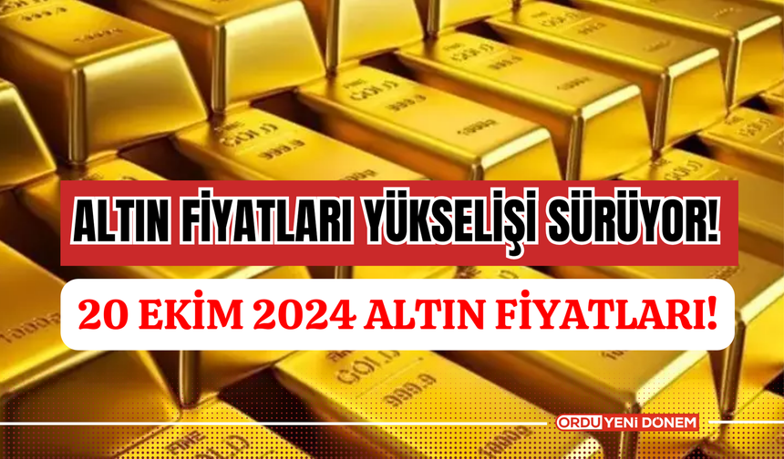 Altın fiyatları yükselişi sürüyor! 20 Ekim 2024 tam, cumhuriyet, gram ve çeyrek altın fiyatları ne kadar oldu, kaç TL?