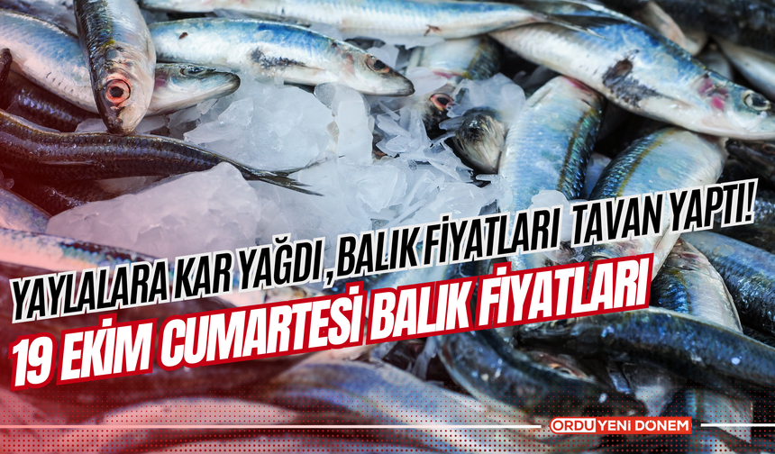 Yaylalara Kar Yağdı! Balık Fiyatları Tavan Yaptı!