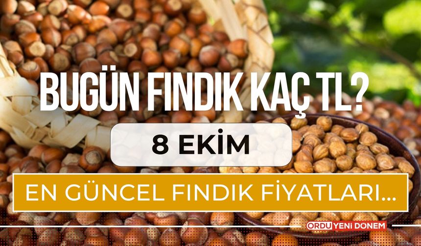 Bugün Fındık Kaç TL? 8 Ekim En Güncel Fındık Fiyatları…