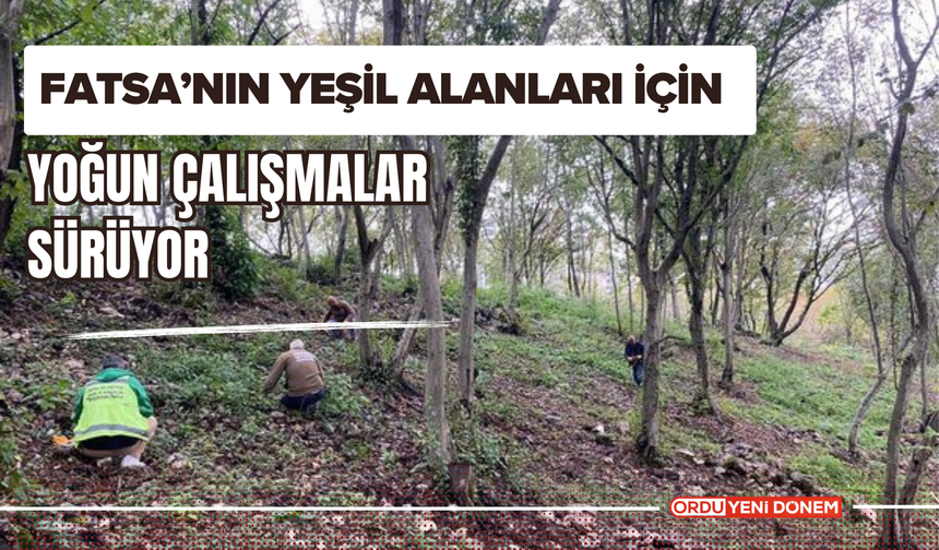 Fatsa’nın Yeşil Alanları İçin Yoğun Çalışmalar Sürüyor