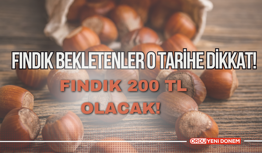 Fındık Bekletenler O Tarihe Dikkat! Fındık 200 TL Olacak!