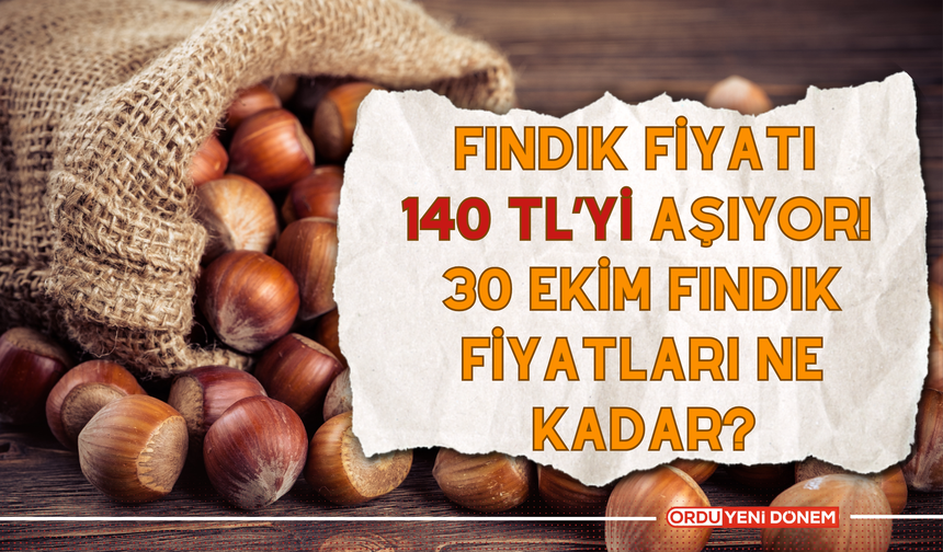 Fındık Fiyatı 140 TL’yi Aşıyor! 30 Ekim Fındık Fiyatları Ne Kadar?