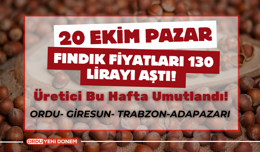 Fındık Fiyatları 130 Lirayı Aştı! Üretici Bu Hafta Umutlandı! 20 Ekim İl İl Fındık Fiyatları…