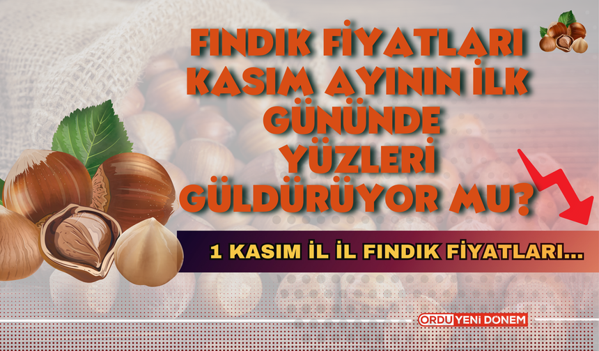 Fındık Fiyatları Kasım Ayının İlk Gününde Yüzleri Güldürüyor Mu? 1 Kasım İl İl Fındık Fiyatları…