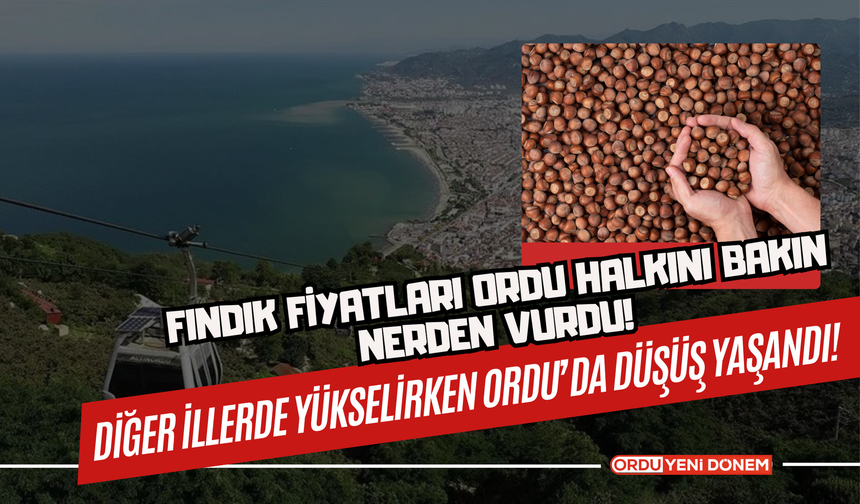 Fındık fiyatları Ordu Halkını Bakın Nerden Vurdu! Diğer İllerde Yükselirken Ordu’da Düşüş Yaşandı!