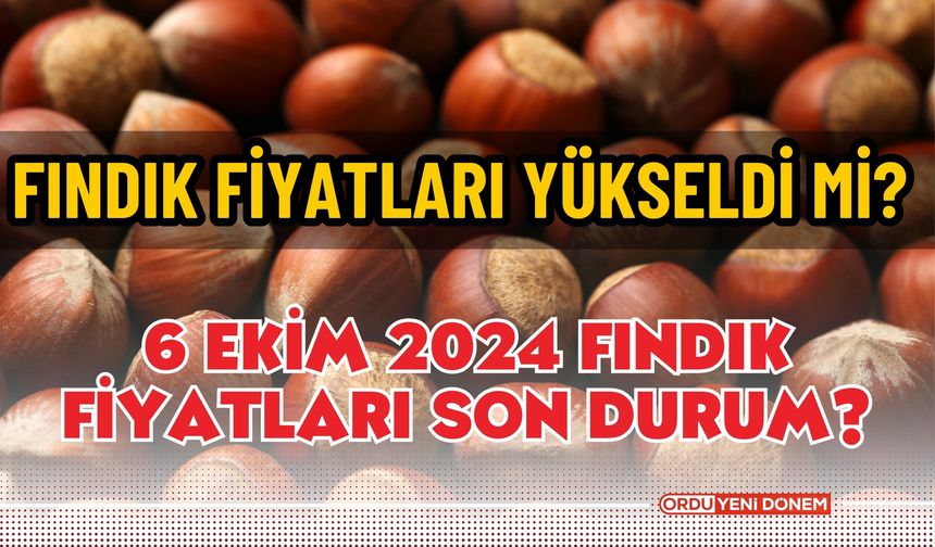 Fındık Fiyatları Yükseldi Mi? 6 Ekim 2024 Fındık Fiyatları Son Durum?