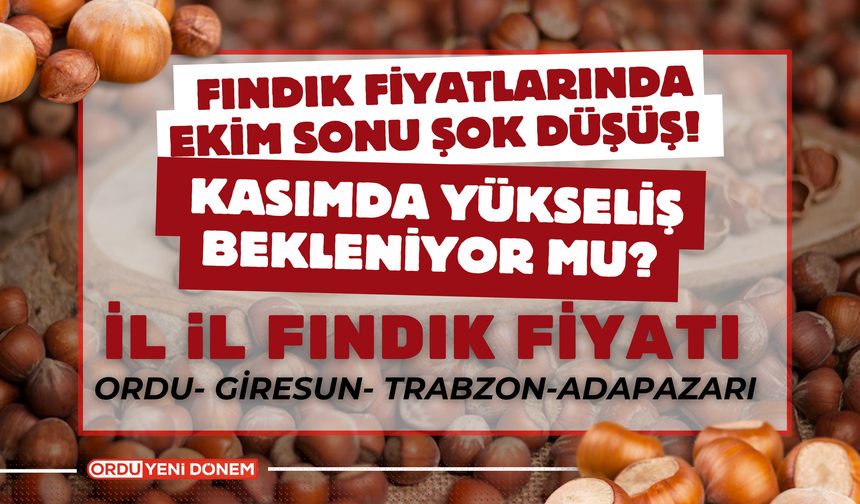 Fındık Fiyatlarında Ekim Sonu Şok Düşüş! Kasımda Yükseliş Bekleniyor mu?