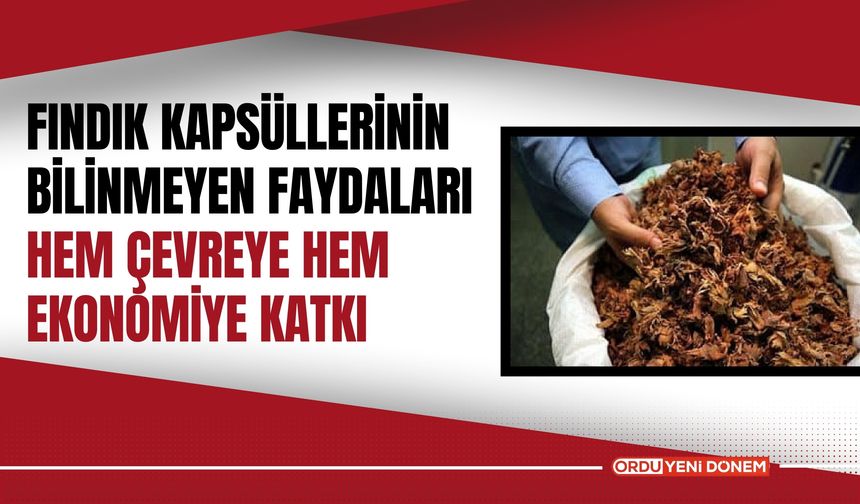 Fındık Kapsüllerinin Bilinmeyen Faydaları