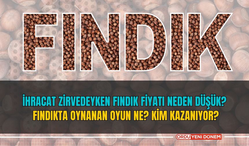 Fındıkta İhracat Zirvedeyken Fındık Fiyatı Neden Düşük? Fındıkta Oynanan Oyun Ne? Kim Kazanıyor?