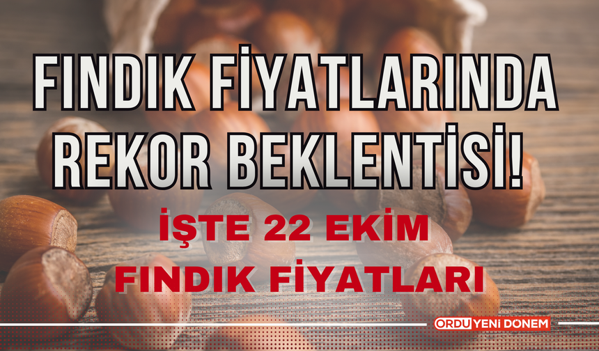 Fındık Fiyatlarında Rekor Beklentisi! İşte 22 Ekim Fındık Fiyatları