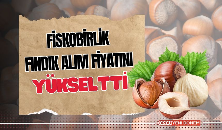 FİSKOBİRLİK, Fındık Alım Fiyatını Yükseltti!