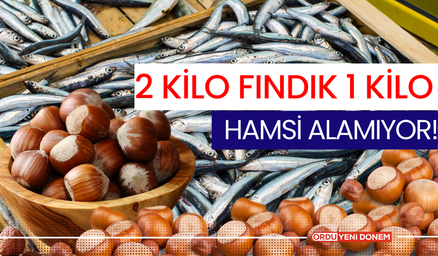 2 Kilo Fındık 1 Kilo Hamsi Alamıyor!