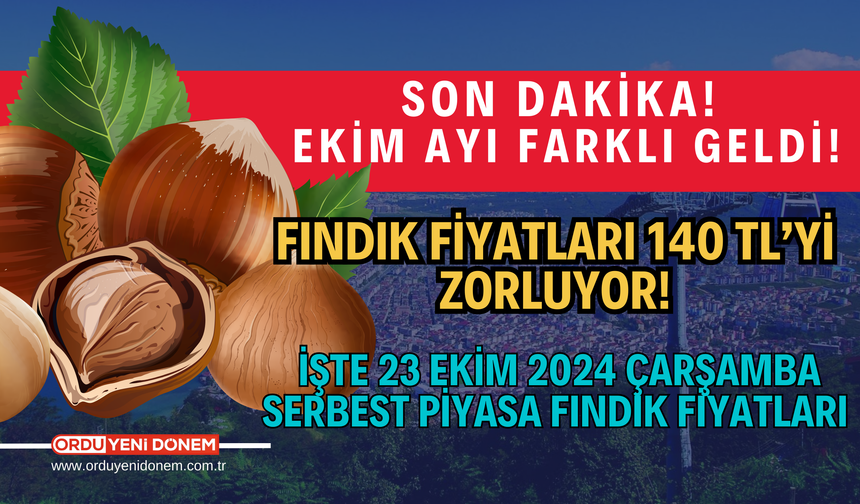 Fındık fiyatları 140 TL’yi zorluyor! İşte 23 Ekim 2024 Çarşamba serbest piyasa fındık fiyatları