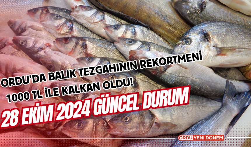 Ordu’da Balık Tezgahının Rekortmeni 1000 TL ile Kalkan Oldu!