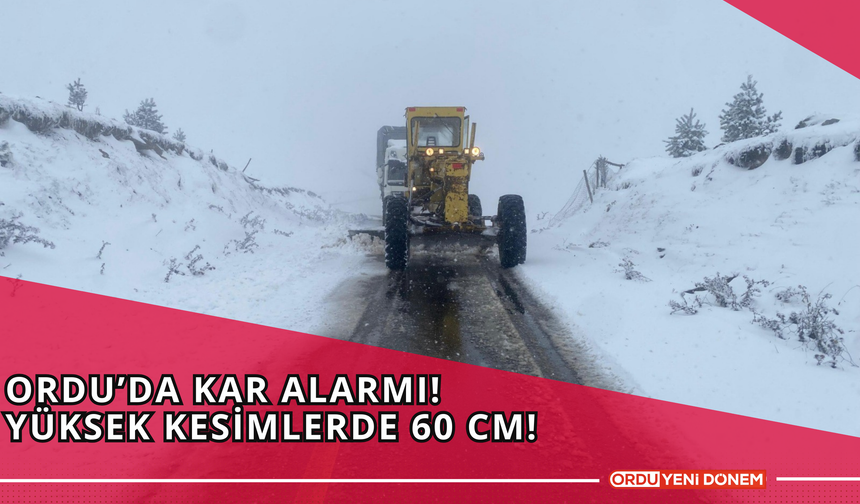 Ordu’da Kar Alarmı! Yüksek Kesimlerde 60 cm!