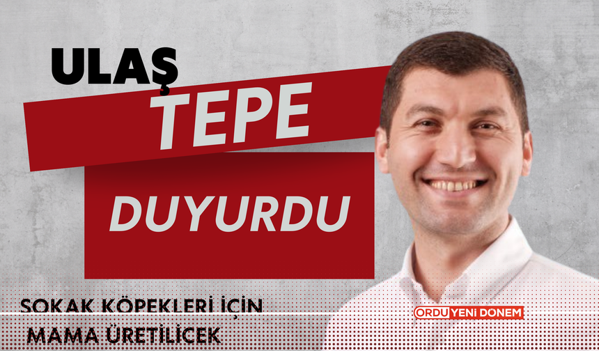 Ulaş Tepe Duyurdu: Sokak Köpekleri İçin Mama Üretilecek