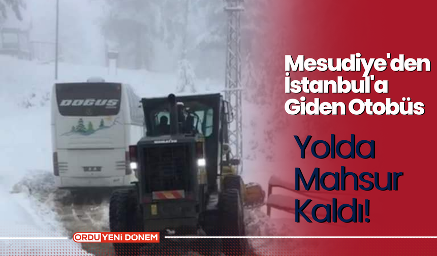 Mesudiye'den İstanbul'a Giden Otobüs Yolda Mahsur Kaldı!