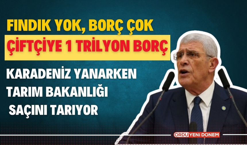 Fındık Yok, Borç Çok: Çiftçiye 1 Trilyon Borç