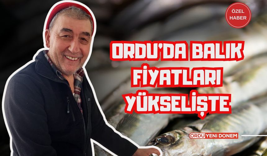 Ordu’da Balık Fiyatları Yükselişte: Hamsi Tezgahlarda Yüksek Fiyattan Satılıyor