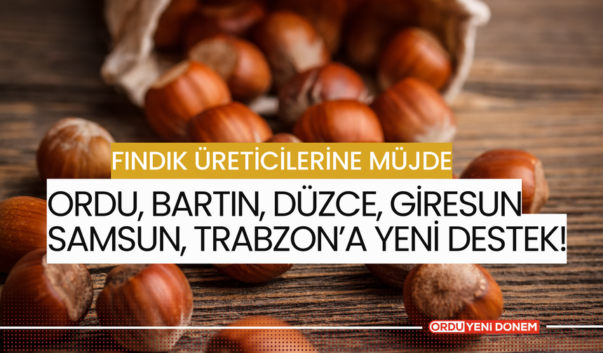 Fındık Üreticilerine Müjde: Ordu, Bartın, Düzce, Giresun Samsun, Trabzon’a Yeni Destek!