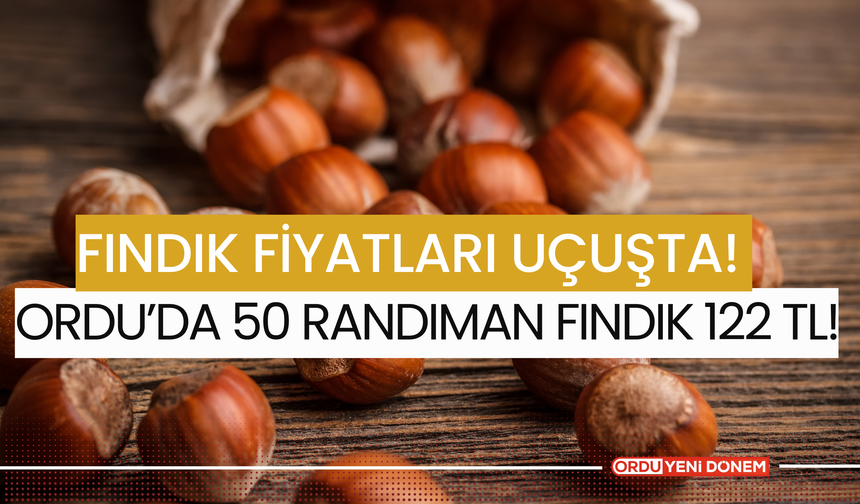 Fındık Fiyatları Uçuşta! Ordu'da 50 Randıman Fındık 122 TL