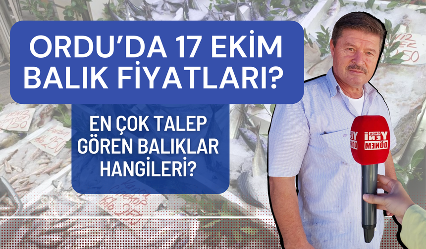 Ordu’da 17 Ekim Balık Fiyatları? En Çok Talep Gören Balıklar Hangileri?