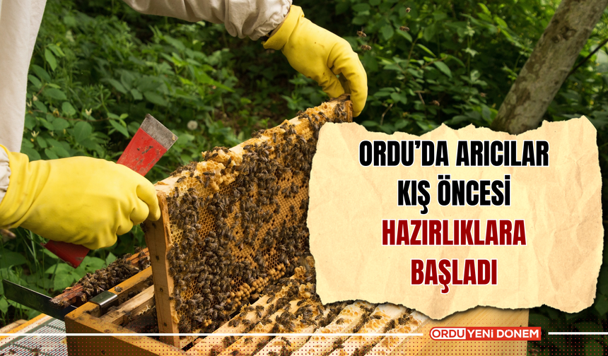 Ordu’da Arıcılar Kış Öncesi Hazırlıklara Başladı