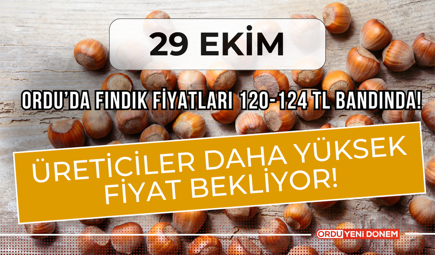 Ordu’da Fındık Fiyatları 120-124 TL Bandında! Üreticiler Daha Yüksek Fiyat Bekliyor!