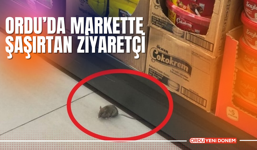 Ordu’da Markette Şaşırtan Ziyaretçi!