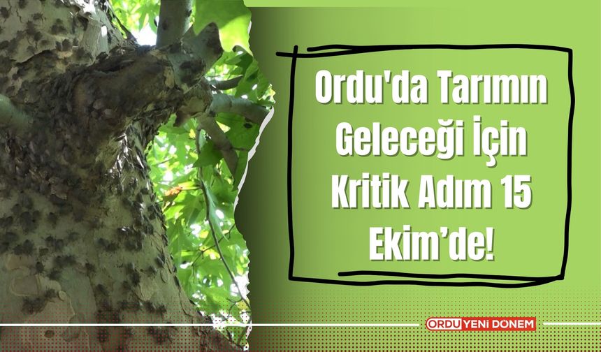 Ordu'da Tarımın Geleceği İçin Kritik Adım 15 Ekim’de!