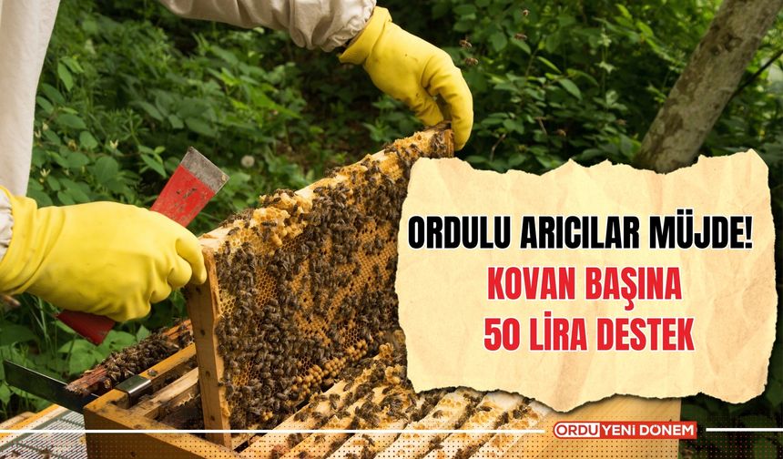 Ordulu Arıcılar Müjde! Kovan Başına 50 Lira Destek